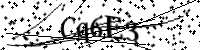 Digita il codice Captcha di seguito