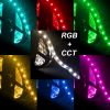 Strip LED RGB + CCT 5050 60 LED/m 24V IP33 13W/m bobina 5m