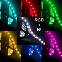 Strip LED RGB + W 5050 60 LED/m 24V IP33 17,6W/m bobina 5m