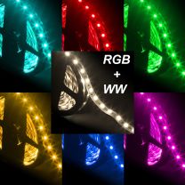Strip LED RGB + WW 5050 60 LED/m 24V IP33 17,6W/m bobina 5m