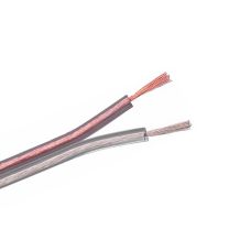 Cavo Piattina Trasparente 2X1 12V 24V (CCA)