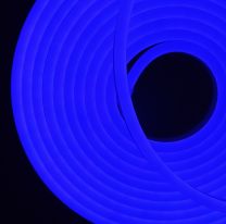 Flex Neon COLOR 12V 5M Blu