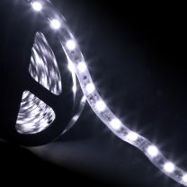 Strip LED 5050 60 LED/m bianco freddo 12v IP33 8W/m bobina 5m