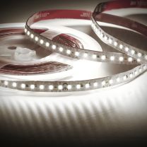 Strip LED 2835 120 LED/m bianco freddo 24v IP33 14