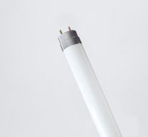 Tubo LED THREELINE T8EG60 Bianco Freddo Starter